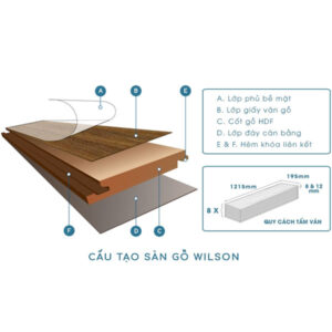 Sàn gỗ Wilson 12mm WS817-1